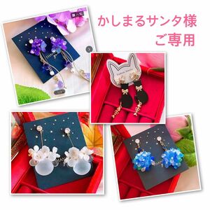 かしまるサンタ様 ご専用ページ* ハンドメイド ピアス イヤリング