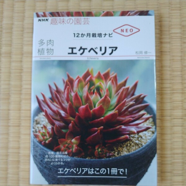 多肉植物エケベリア　ハオルチア （ＮＨＫ趣味の園芸　１２か月栽培ナビＮＥＯ） セット販売 