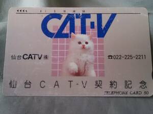 使用済み　テレカ　猫　CAT-V　仙台CAT-V契約記念　＜410-1700＞50度数