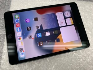 JQ458 iPad mini 第5世代 Wi-Fiモデル A2133 スペースグレイ 64GB ジャンク ロックOFF