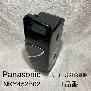 Panasonic