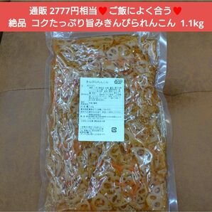 きんぴられんこん 1.1kg きんぴら 惣菜 れんこん 野菜 おつみ