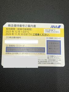 番号通知のみ 全日空 ANA 株主優待券 2024年11月末まで