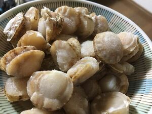  domestic production baby Boyle scallop 1kg(100~300 sphere )(E) north . direct sale *. length *..*.*