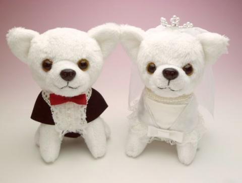 ウェディングベア ウェルカムベア 結婚式 ウェルカムドッグ ウェディングチワワ