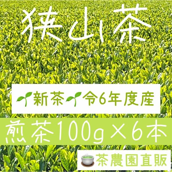 【新茶】☆狭山茶☆茶畑直販☆煎茶6本(令6年産)☆一番茶☆深蒸し茶☆緑茶☆日本茶☆お茶