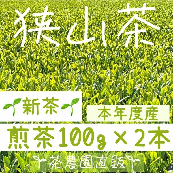 【新茶】☆狭山茶☆茶畑直販☆煎茶2本(令6年産)一番茶100%☆深蒸し茶 緑茶 日本茶 お茶 お茶の葉