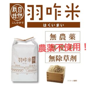 【農薬不使用!】【玄米】能登のこだわり自然栽培“こしひかり”『羽咋米』 酵素玄米ご飯に!おいしい^_^