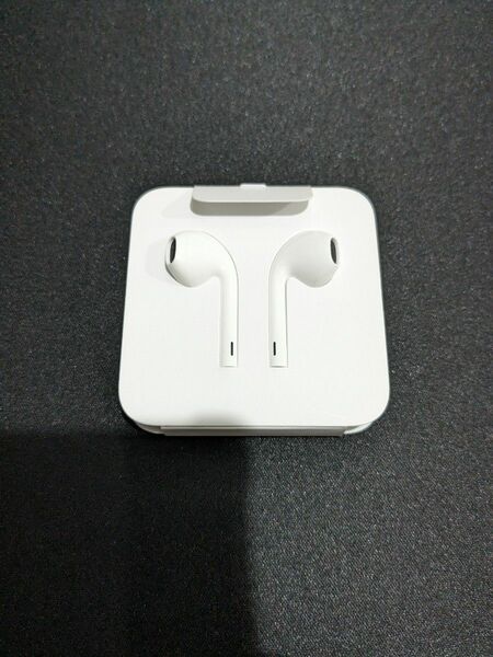 Apple EarPods iPhone付属品 Lightningケーブル