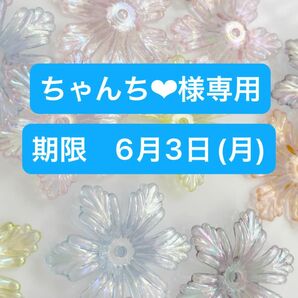 ちゃんち様専用【お支払い期限　6月3日(月)】ビーズ