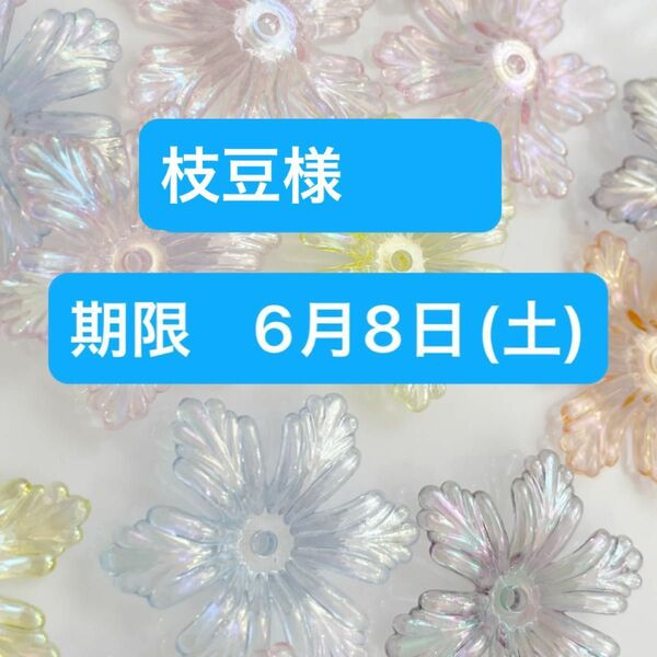 枝豆様【お支払い期限　6月8日(土)】ビーズ