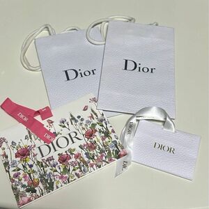 Dior ショッパー 紙袋 ディオール ショップ袋 クリスチャンディオール