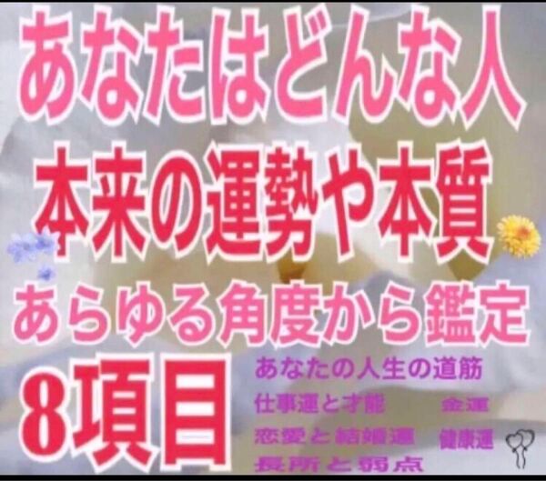 8項目あなたの基本的な魂の鑑定 社会でのあなた 仕事運 天職 金運 恋愛結婚 健康運 あなたの資質を知って歩みやすい人生を 鑑定