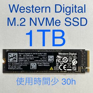 ★ 1TB SN730 Western Digital M.2 NVMe SSD PCIe3.0 ×4 1024GB 中古良品 ★