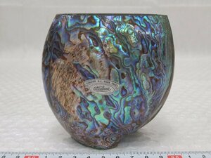P3314 New Zealand paua shell . skill vase flower vase flower base 