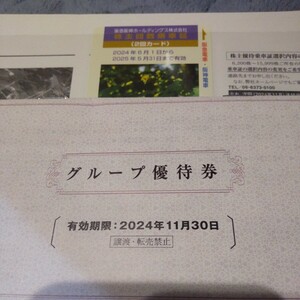 阪急阪神ホールディングス株式会社 株主回数乗車証 2回分 グループ優待券の冊子 のセット