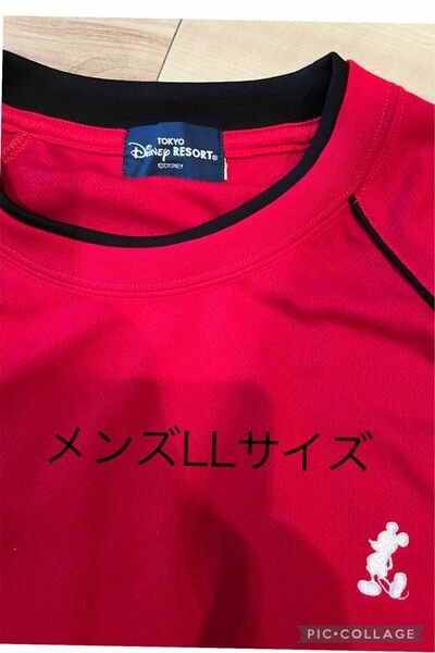【美品】TOKYO Disney RESORT Tシャツ　LLサイズ