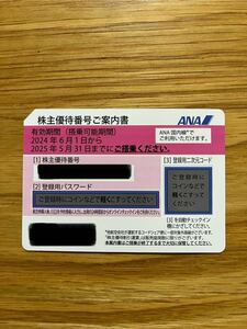 ANA 全日空 2025年5月31日搭乗まで有効 株主優待券1枚