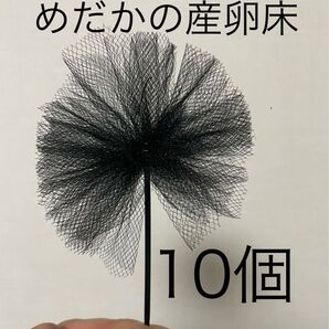 【めだか産卵床10個(チュール生地黒)の商品】