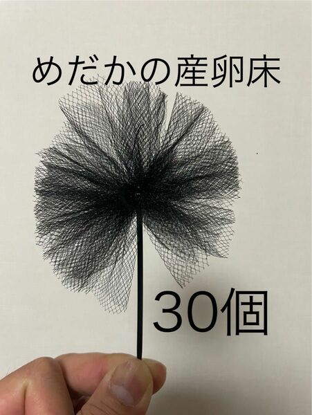 【めだか産卵床30個（チュール生地黒）の商品】