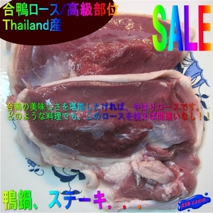 5ps.@, steak for [ aigamo duck roast 2 sheets .600g rank Thailand production ] high class. duck cooking... soft!!