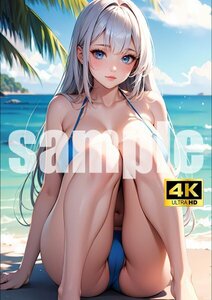 2882【A4写真用紙・高画質】オリジナル 水着美女 イラスト グラビア セクシー ビキニ アニメ 同人 ポスター フェチ 可愛い 巨乳 美脚 お尻