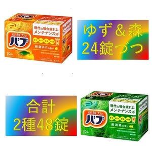 1[ Kao Bab standard 2 kind 48 pills ] bathwater additive prompt decision free shipping 12 20 48 piece 117 dm6