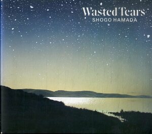 D00152568/CD/浜田省吾「Wasted Tears」