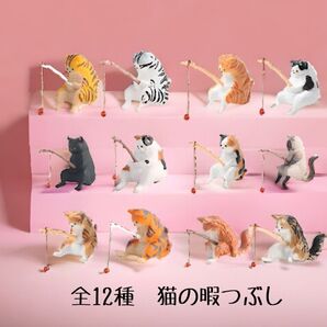 全12種 釣り日和 猫たちのひまつぶし