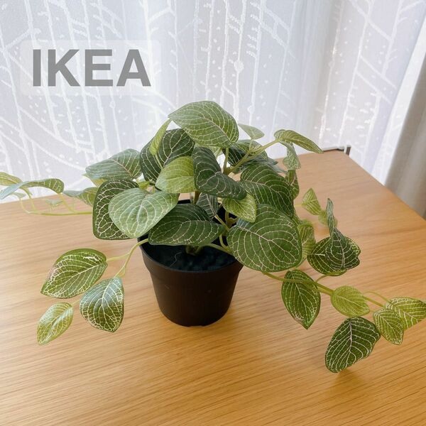 【新品】IKEA イケア フェイクグリーン フェイカ（ルドウィギア・セドイデス）人工観葉植物 造花