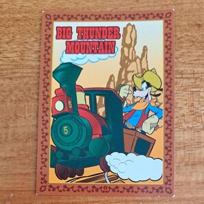 ディズニー 未来のチャレンジャー証明書 ビッグサンダーマウンテン 未来の証明書 ファストパス 優先搭乗券 男の子 ランド