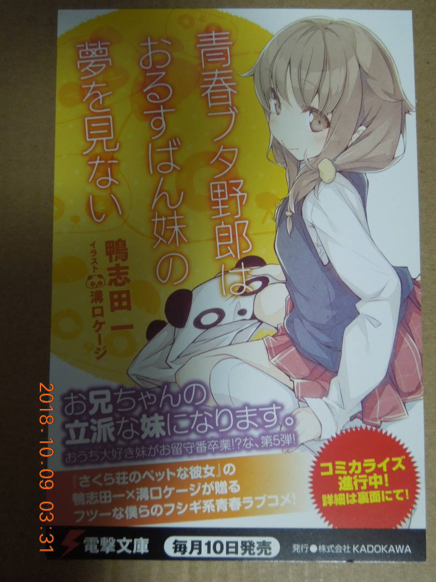 美品】 希少 ドラゴンクエスト ファイブⅤ 青ブタ どこでも麻衣さん