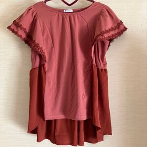 トップス 半袖 (axes femme)