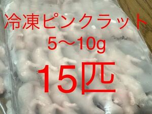 冷凍ピンクラット　5〜10g 15匹