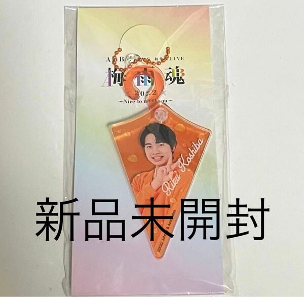 【新品未開封】小柴陸 アクキー