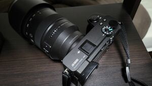 SONY α6600 本体のみ +バッテリー、箱