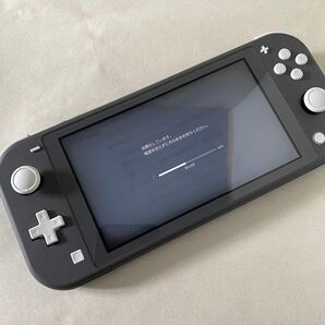 【本体のみ】Nintendo Switch Lite グレー 任天堂 スイッチライト 初期化済み