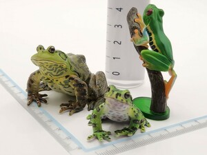 原色両生類カエル図鑑 ウシガエル アマエアマガエル イシカワガエル フィギュア[24e29検Figurineネイチャーテクニカラー いきもの大図鑑 蛙