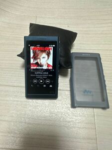 動作OK SONY ソニー NW-A57 WALKMAN デジタルオーディオプレーヤー 