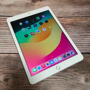 Apple iPad 第6世代 128GB 美品