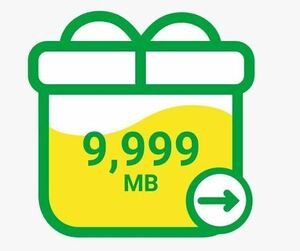 mineo my Neo packet gift approximately 10GB free shipping 