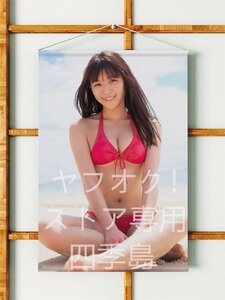 浅川梨奈/B2サイズ/ダブルスエード生地/上質/タペストリー