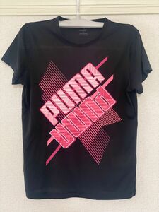 PUMA レディース　Ｔシャツ