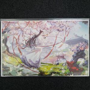 天官賜福 謝憐 誕生日 生誕 色紙