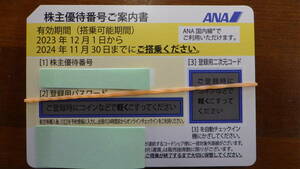 ANA 株主優待券 株主割引券 １～９枚 番号通知 コード通知 有効期限2024年11月30日