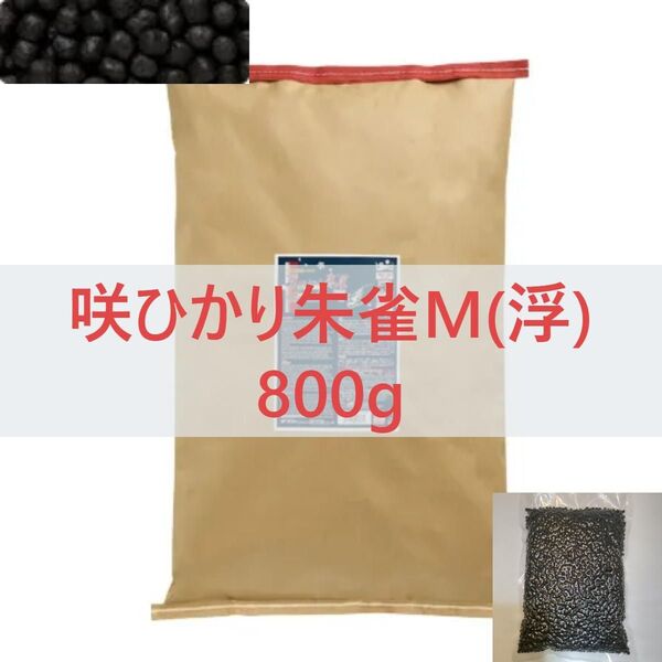 【送料無料】キョーリン 咲ひかり 朱雀 特級色揚 浮上 Mサイズ 800g (錦鯉・金魚)