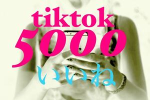 【最高品質★低価格★【tiktokいいね5000人】♪おまけ♪SNS増加ツール！ SNS YouTube TikTok X Twitter Instagramフォロワーコンテンツ作成