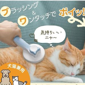 犬猫用ブラシ 新品未使用 ワンプッシュ毛玉取りマッサージ ペット用品