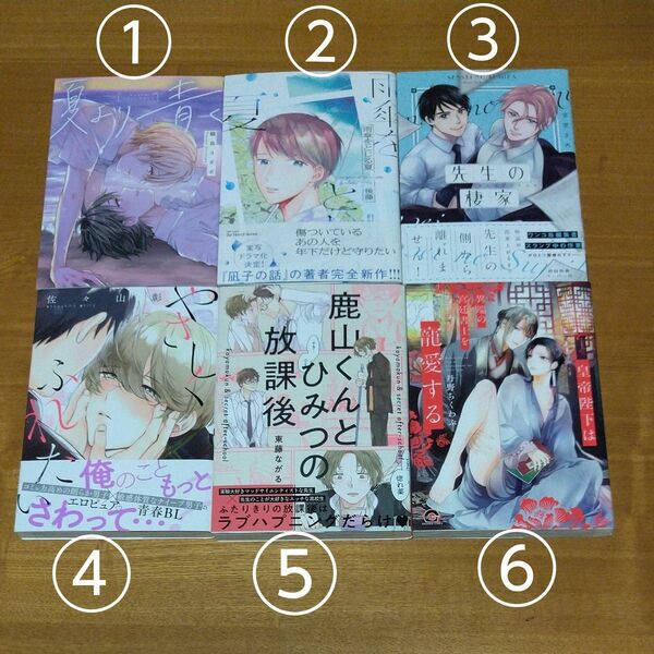 BLコミック24冊 (1冊80円)
