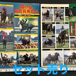 【競馬】シール レトロ レア 1998年春のGI 輝ける菊花賞馬たち セット